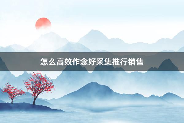 怎么高效作念好采集推行销售